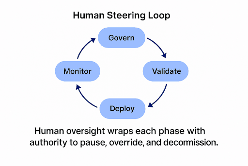 Human Steering Loops.png